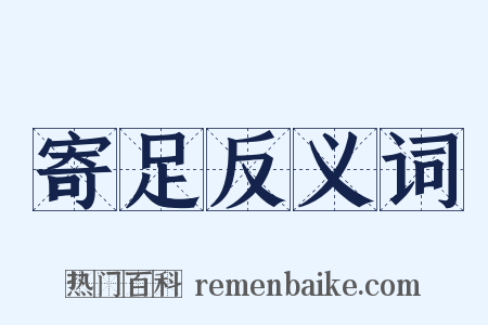 寄足反义词是什么意思的图片